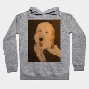 vienna the dog Hoodie